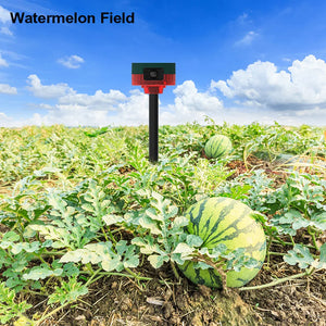 Solar Outdoor Animal Repeller Wireless Remote Control 1200mAh Beast Repeller 13 Sounds Recordable IP55 for Wild Boar Rabbit Deer